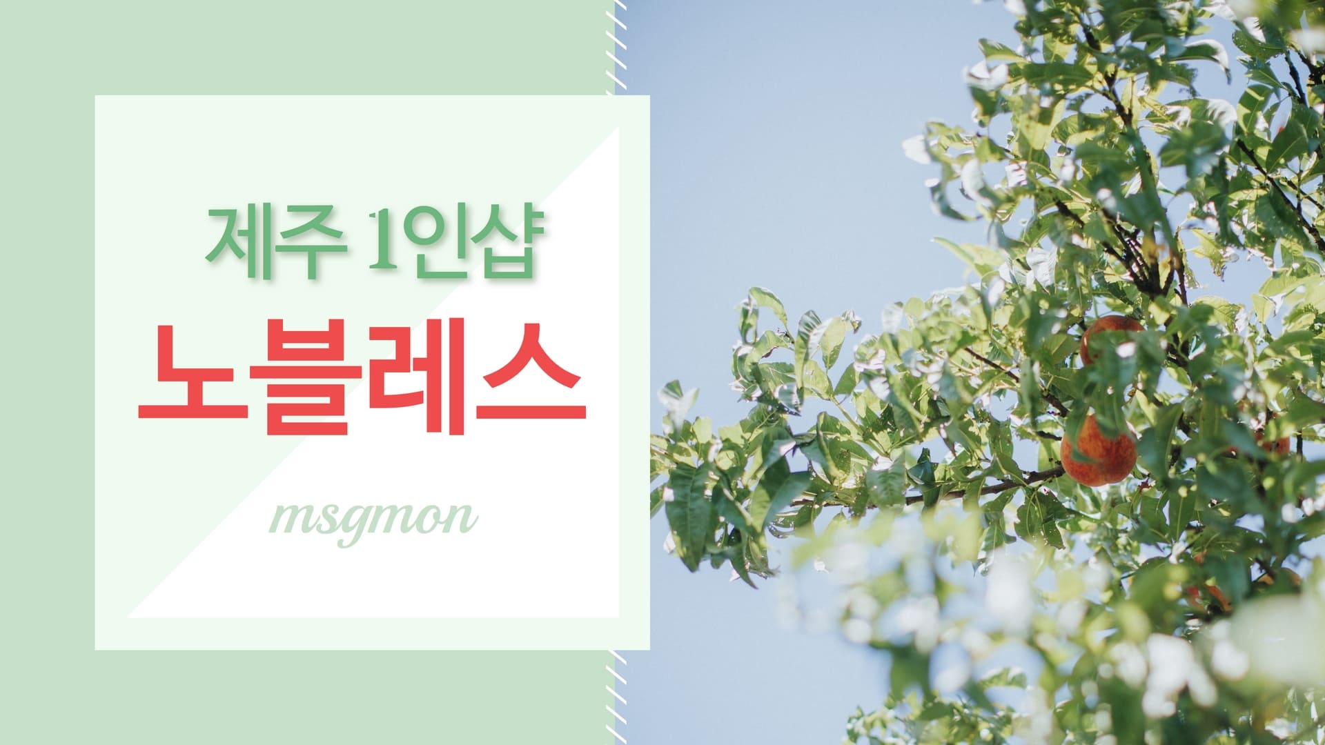 제주 1인샵 노블레스